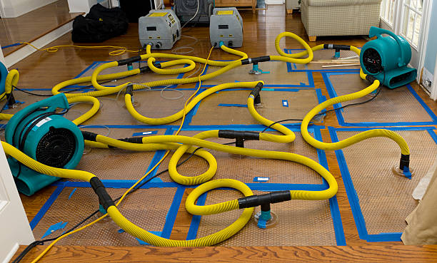Professional Sewage Cleanup technician working in Mount Calm, TX